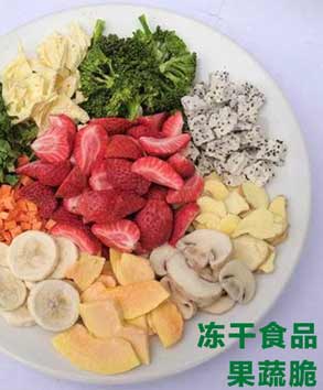 200平方凍干果蔬深加工成套設(shè)備報價方案