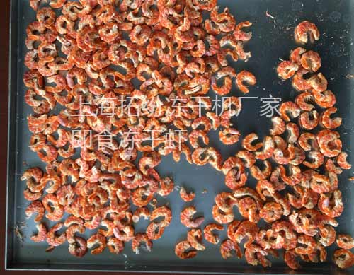 即食凍干蝦干海鮮脆