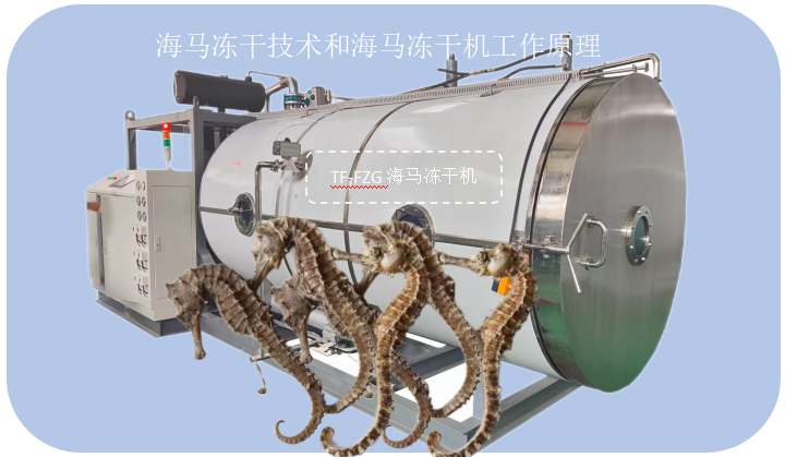 冷凍干燥機(jī)|凍干機(jī)|真空冷凍干燥機(jī)|大型冷凍干燥機(jī)|食品凍干機(jī)|制藥真空冷凍干燥機(jī)|食品凍干設(shè)備|制藥冷凍干燥機(jī)