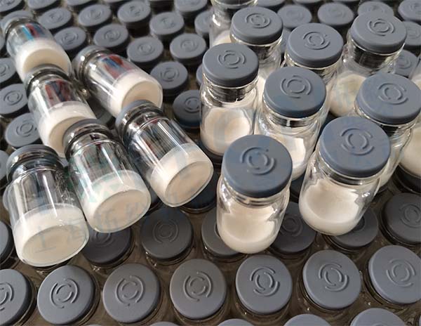 粉針劑凍干機：生物制藥凍干機在粉針劑凍干加工應(yīng)用