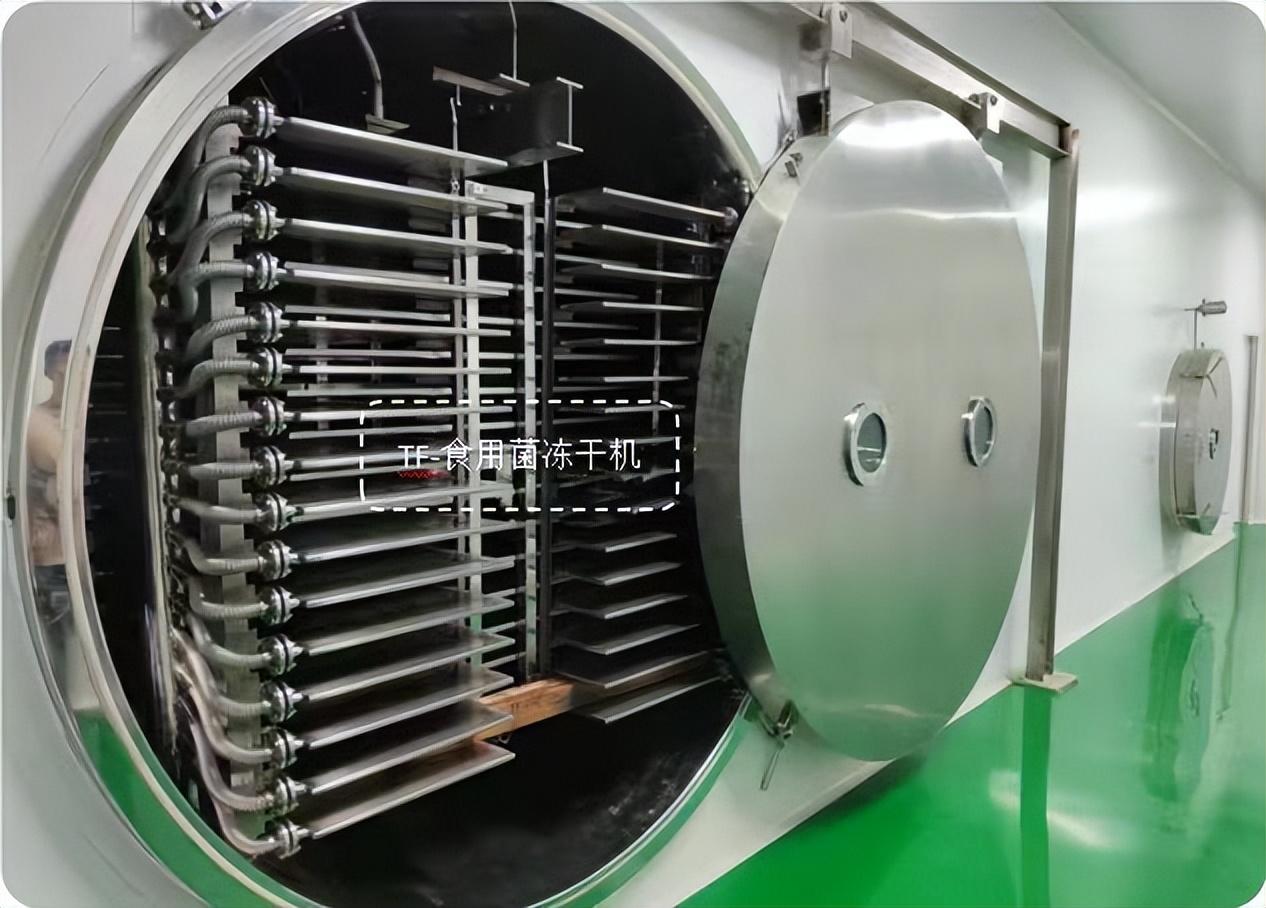 冷凍干燥機(jī)|凍干機(jī)|真空冷凍干燥機(jī)|大型冷凍干燥機(jī)|食品凍干機(jī)|制藥真空冷凍干燥機(jī)|食品凍干設(shè)備|制藥冷凍干燥機(jī)