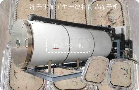 冷凍干燥機(jī)|凍干機(jī)|真空冷凍干燥機(jī)|大型冷凍干燥機(jī)|食品凍干機(jī)|制藥真空冷凍干燥機(jī)|食品凍干設(shè)備|制藥冷凍干燥機(jī)