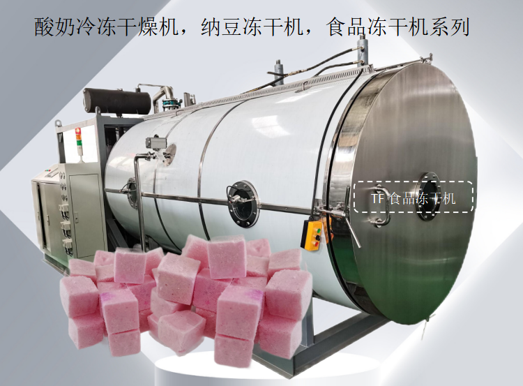 冷凍干燥機(jī)|凍干機(jī)|真空冷凍干燥機(jī)|大型冷凍干燥機(jī)|食品凍干機(jī)|制藥真空冷凍干燥機(jī)|食品凍干設(shè)備|制藥冷凍干燥機(jī)