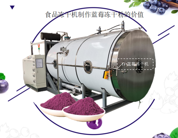 冷凍干燥機(jī)|凍干機(jī)|真空冷凍干燥機(jī)|大型冷凍干燥機(jī)|食品凍干機(jī)|制藥真空冷凍干燥機(jī)|食品凍干設(shè)備|制藥冷凍干燥機(jī)