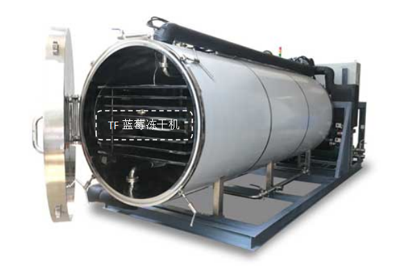 冷凍干燥機(jī)|凍干機(jī)|真空冷凍干燥機(jī)|大型冷凍干燥機(jī)|食品凍干機(jī)|制藥真空冷凍干燥機(jī)|食品凍干設(shè)備|制藥冷凍干燥機(jī)