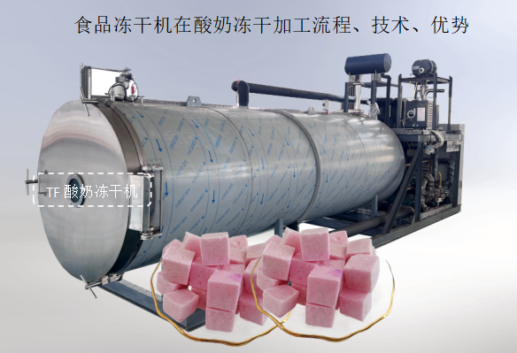 冷凍干燥機(jī)|凍干機(jī)|真空冷凍干燥機(jī)|大型冷凍干燥機(jī)|食品凍干機(jī)|制藥真空冷凍干燥機(jī)|食品凍干設(shè)備|制藥冷凍干燥機(jī)