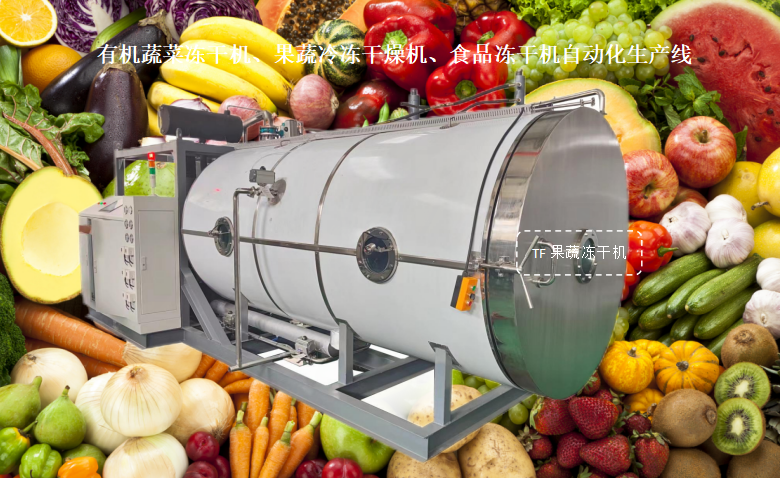 冷凍干燥機|凍干機|真空冷凍干燥機|大型冷凍干燥機|食品凍干機|制藥真空冷凍干燥機|食品凍干設(shè)備|制藥冷凍干燥機