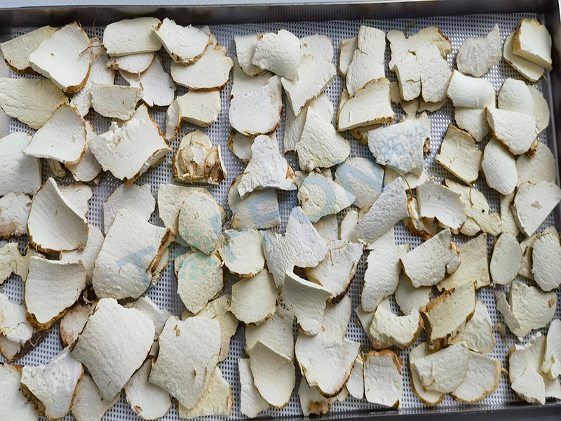 黃精凍干:中藥材凍干機應(yīng)用于黃精真空冷凍干燥案例