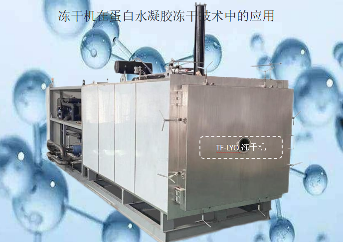 冷凍干燥機|凍干機|真空冷凍干燥機|大型冷凍干燥機|食品凍干機|制藥真空冷凍干燥機|食品凍干設備|制藥冷凍干燥機