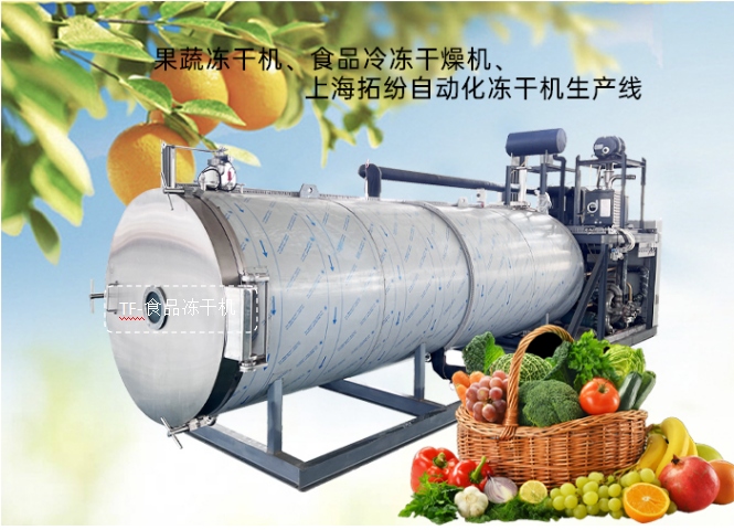 冷凍干燥機(jī)|凍干機(jī)|真空冷凍干燥機(jī)|大型冷凍干燥機(jī)|食品凍干機(jī)|制藥真空冷凍干燥機(jī)|食品凍干設(shè)備|制藥冷凍干燥機(jī)