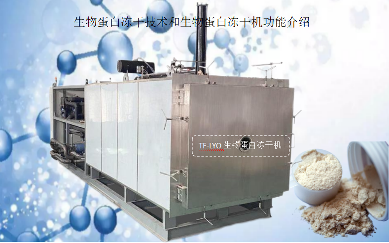 冷凍干燥機(jī)|凍干機(jī)|真空冷凍干燥機(jī)|大型冷凍干燥機(jī)|食品凍干機(jī)|制藥真空冷凍干燥機(jī)|食品凍干設(shè)備|制藥冷凍干燥機(jī)