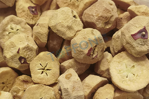 冷凍干燥機|凍干機|真空冷凍干燥機|大型冷凍干燥機|食品凍干機|制藥真空冷凍干燥機|食品凍干設(shè)備|制藥冷凍干燥機