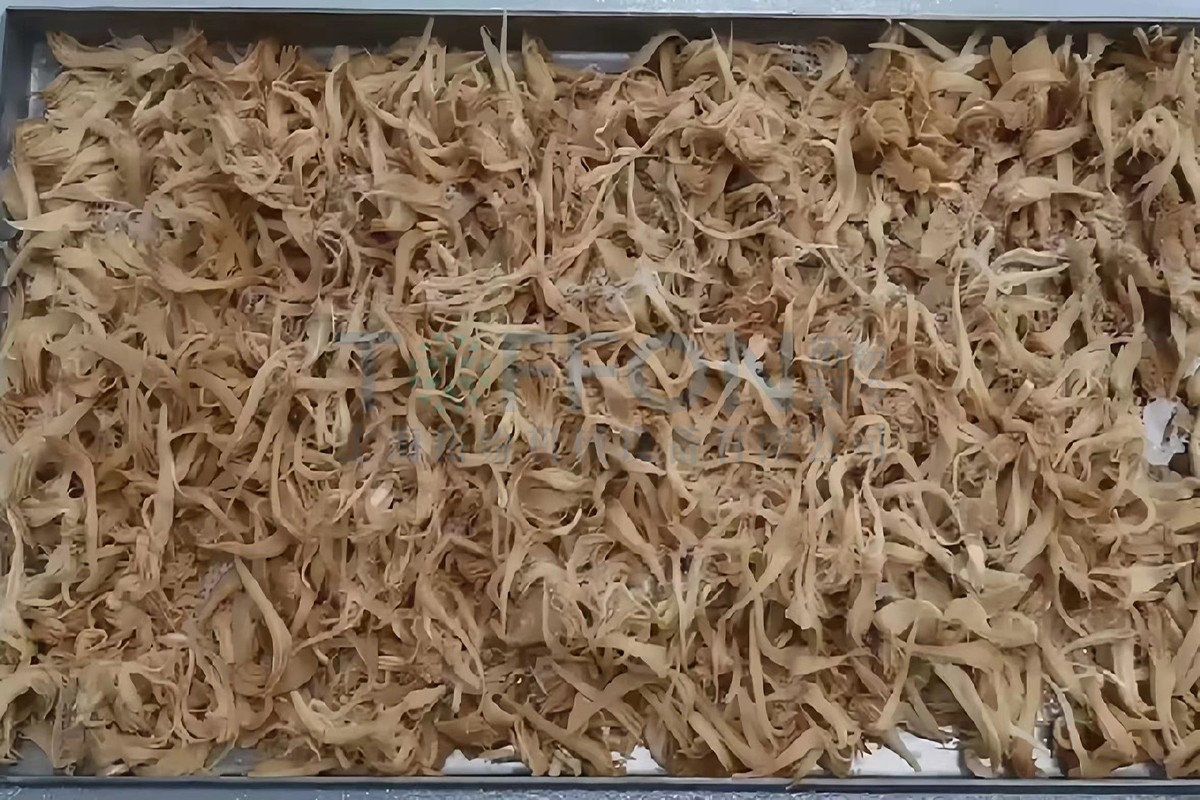 冷凍干燥機(jī)|凍干機(jī)|真空冷凍干燥機(jī)|大型冷凍干燥機(jī)|食品凍干機(jī)|制藥真空冷凍干燥機(jī)|食品凍干設(shè)備|制藥冷凍干燥機(jī)