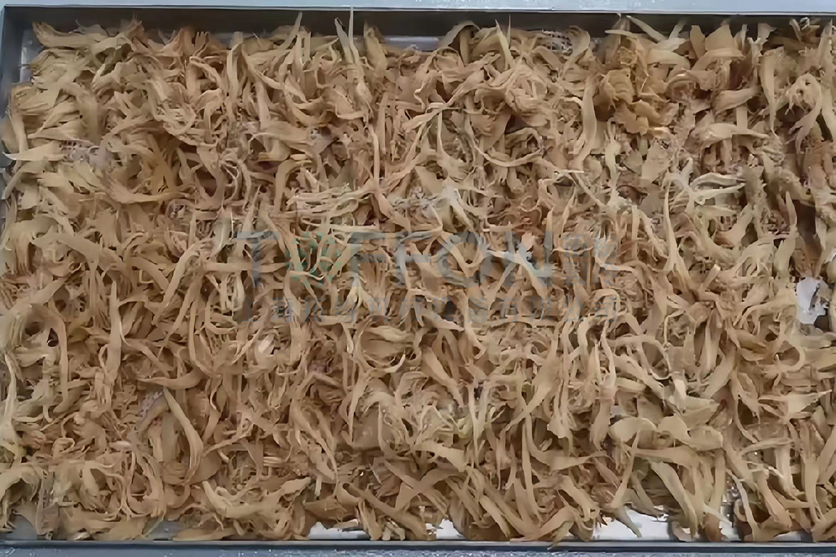 猴頭菇凍干：食品凍干技術(shù)應(yīng)用在猴頭菇冷凍干燥