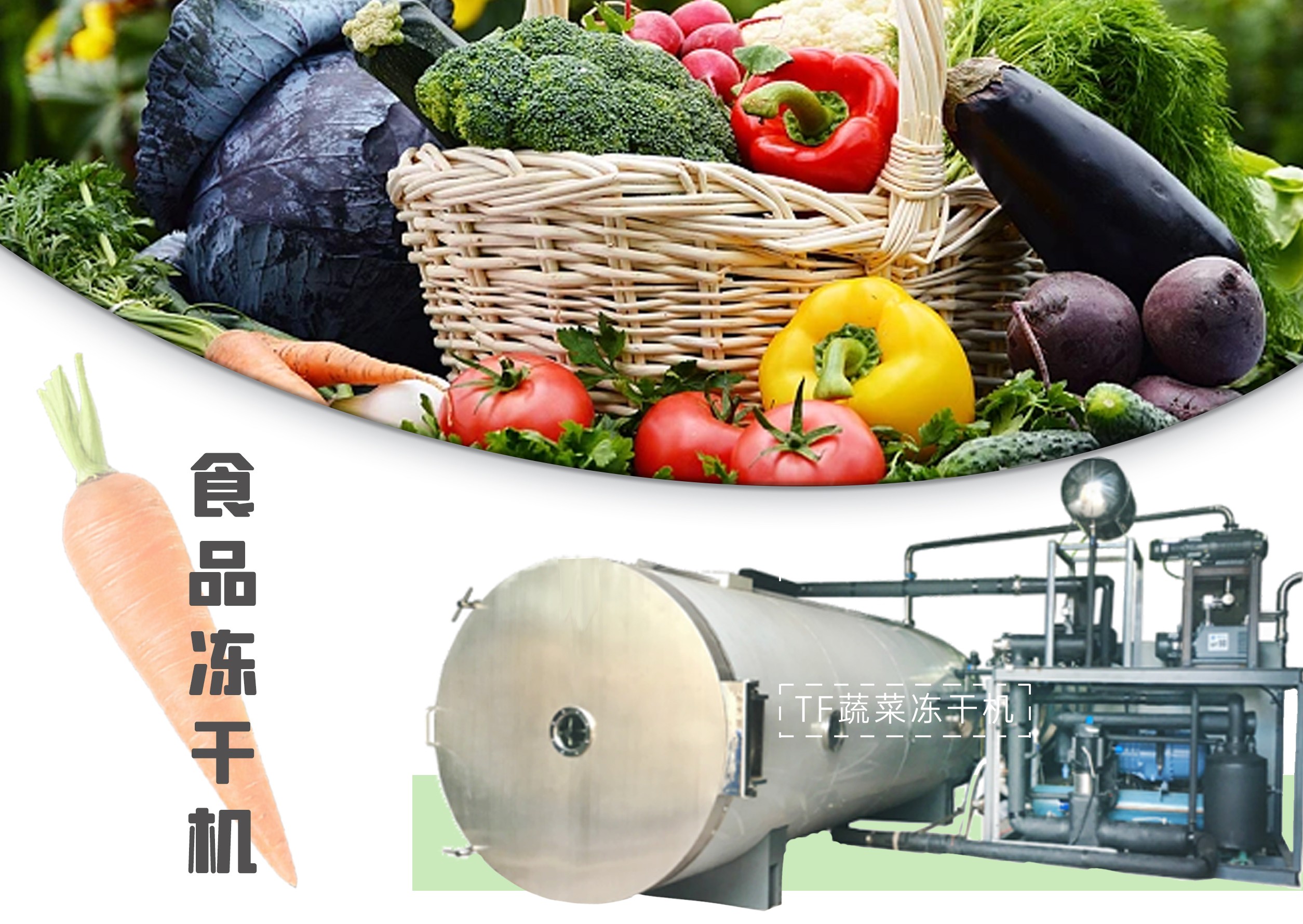冷凍干燥機(jī)|凍干機(jī)|真空冷凍干燥機(jī)|大型冷凍干燥機(jī)|食品凍干機(jī)|制藥真空冷凍干燥機(jī)|食品凍干設(shè)備|制藥冷凍干燥機(jī)