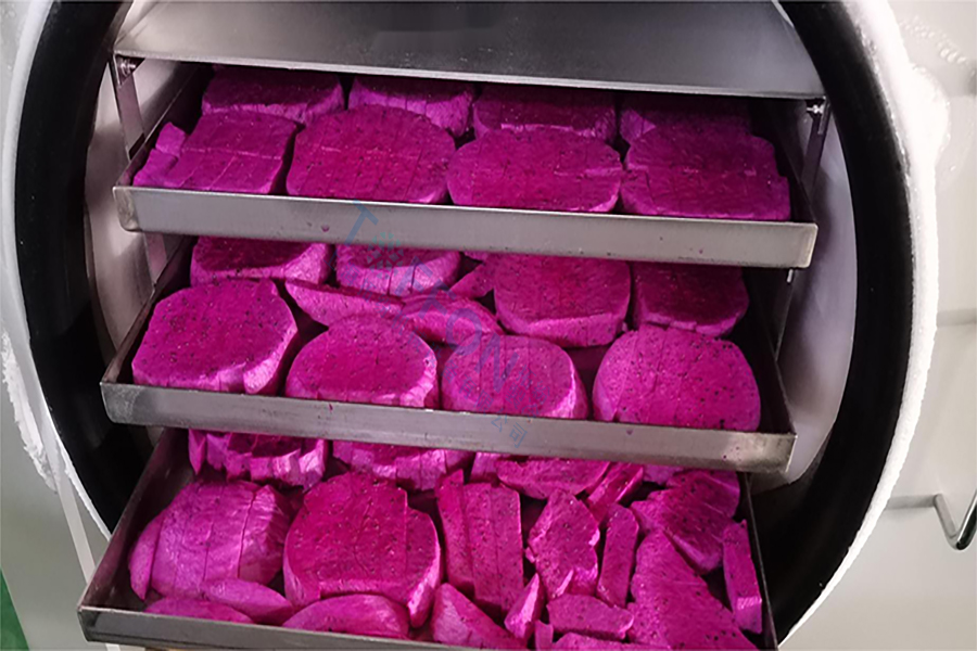 火龍果凍干機(jī)：果蔬冷凍干燥機(jī)凍干加工流程