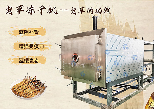 冷凍干燥機(jī)|凍干機(jī)|真空冷凍干燥機(jī)|大型冷凍干燥機(jī)|食品凍干機(jī)|制藥真空冷凍干燥機(jī)|食品凍干設(shè)備|制藥冷凍干燥機(jī)