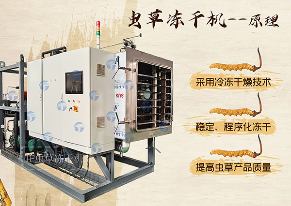 冷凍干燥機(jī)|凍干機(jī)|真空冷凍干燥機(jī)|大型冷凍干燥機(jī)|食品凍干機(jī)|制藥真空冷凍干燥機(jī)|食品凍干設(shè)備|制藥冷凍干燥機(jī)