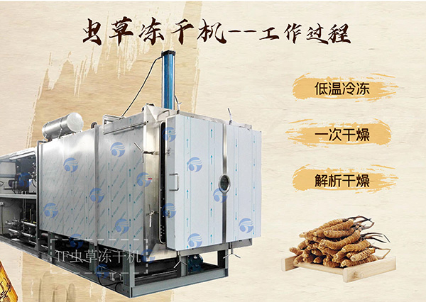 冷凍干燥機(jī)|凍干機(jī)|真空冷凍干燥機(jī)|大型冷凍干燥機(jī)|食品凍干機(jī)|制藥真空冷凍干燥機(jī)|食品凍干設(shè)備|制藥冷凍干燥機(jī)