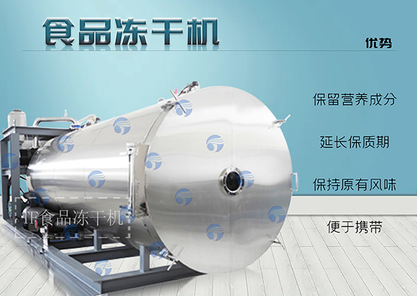 冷凍干燥機(jī)|凍干機(jī)|真空冷凍干燥機(jī)|大型冷凍干燥機(jī)|食品凍干機(jī)|制藥真空冷凍干燥機(jī)|食品凍干設(shè)備|制藥冷凍干燥機(jī)