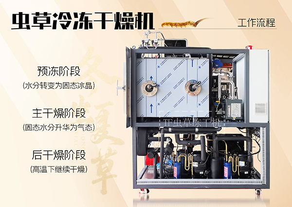 冷凍干燥機(jī)|凍干機(jī)|真空冷凍干燥機(jī)|大型冷凍干燥機(jī)|食品凍干機(jī)|制藥真空冷凍干燥機(jī)|食品凍干設(shè)備|制藥冷凍干燥機(jī)