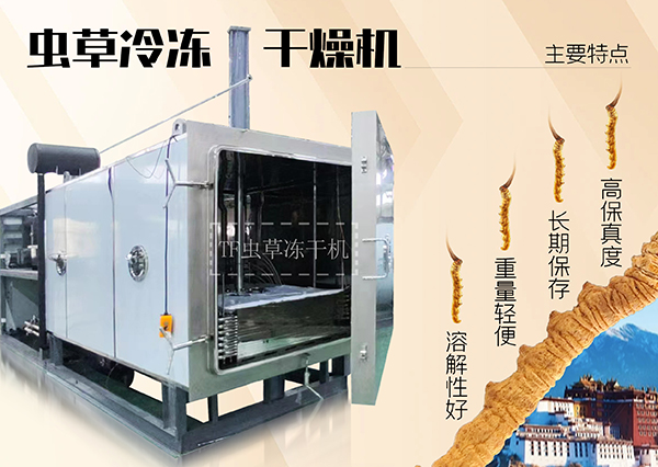 冷凍干燥機(jī)|凍干機(jī)|真空冷凍干燥機(jī)|大型冷凍干燥機(jī)|食品凍干機(jī)|制藥真空冷凍干燥機(jī)|食品凍干設(shè)備|制藥冷凍干燥機(jī)