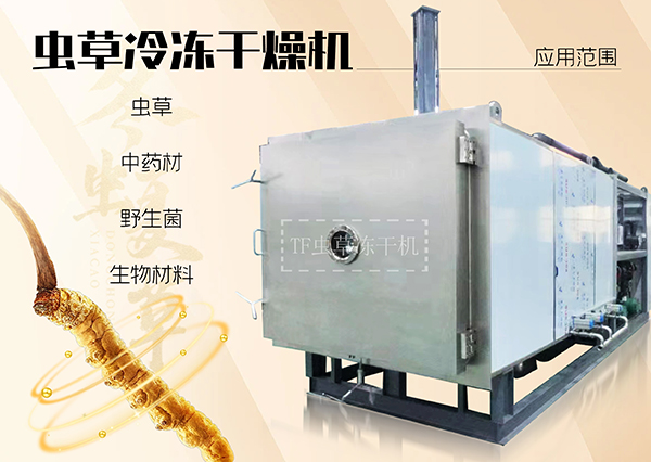 冷凍干燥機(jī)|凍干機(jī)|真空冷凍干燥機(jī)|大型冷凍干燥機(jī)|食品凍干機(jī)|制藥真空冷凍干燥機(jī)|食品凍干設(shè)備|制藥冷凍干燥機(jī)