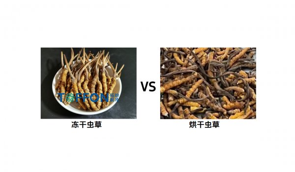 中藥材食品凍干機(jī)：低溫干燥保留活性成分