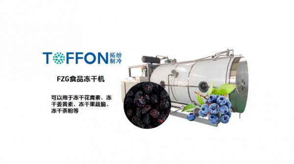 藍(lán)莓花青素冷凍干燥機(jī) - 高效鎖鮮，保留活性營(yíng)養(yǎng)