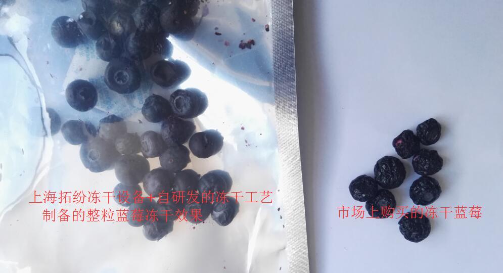 凍干藍(lán)莓